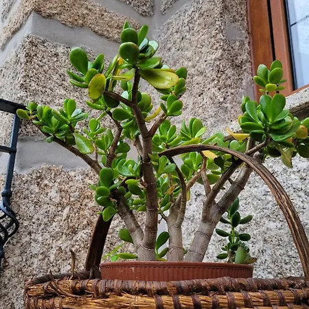 Casa Da Fonte Castro Daire