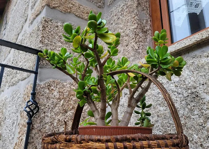 Casa Da Fonte Castro Daire